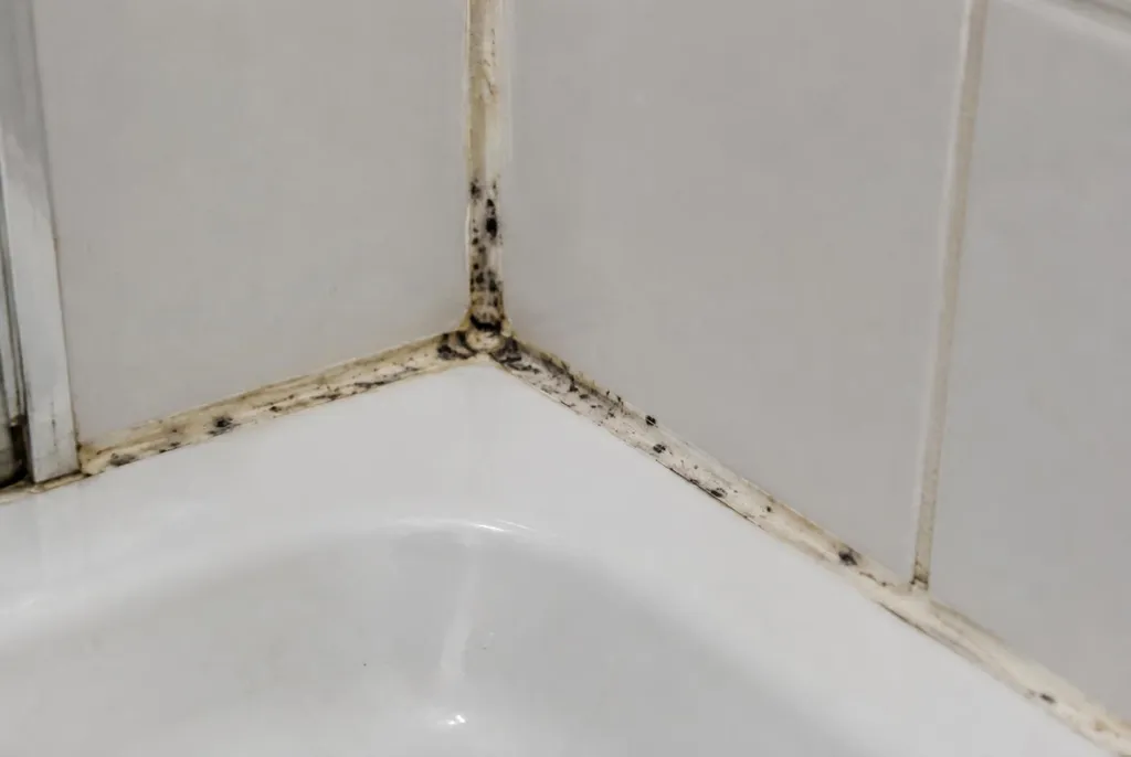 Kitbedrijf Zoetermeer – beschimmelde kitranden